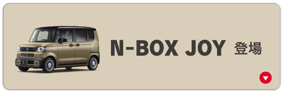 N-BOXJOY