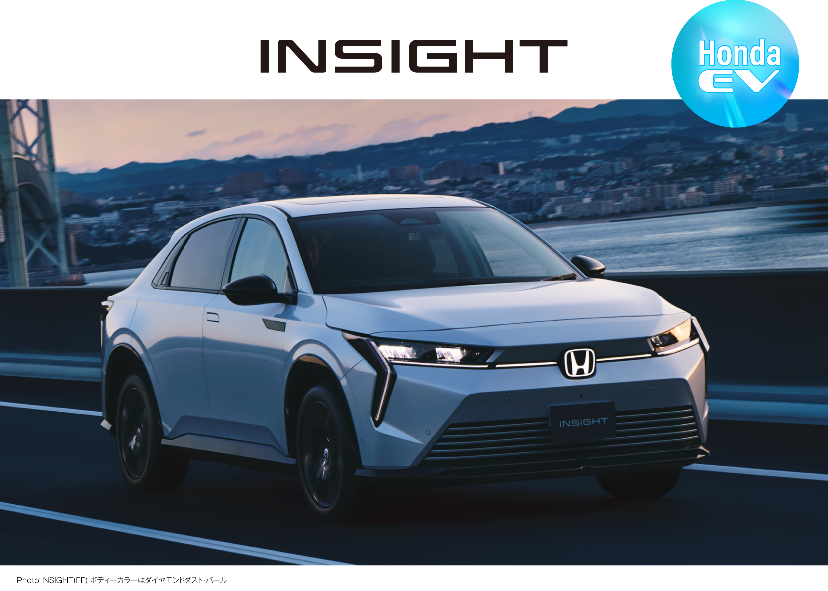 INSIGHT ビジュアル