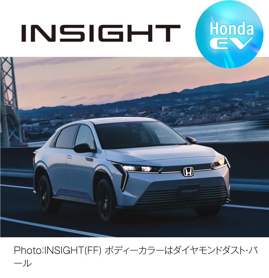 INSIGHT ビジュアル
