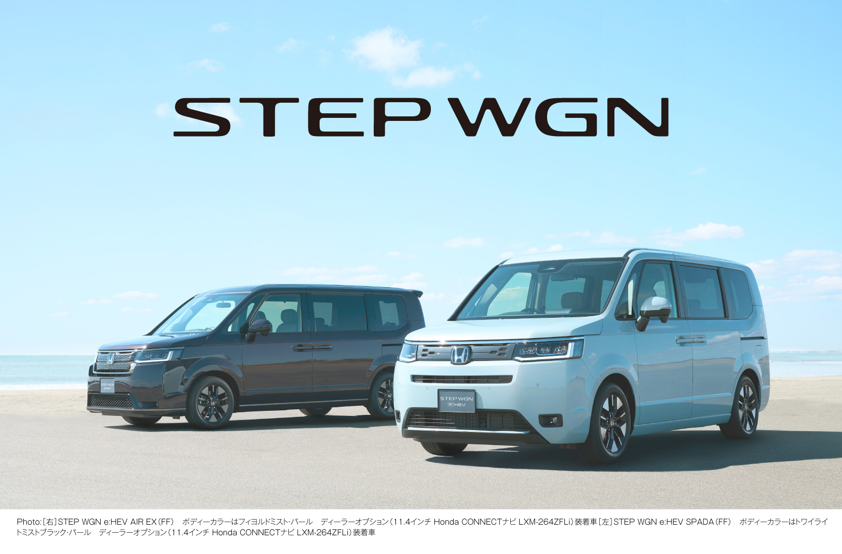 STEPWGN