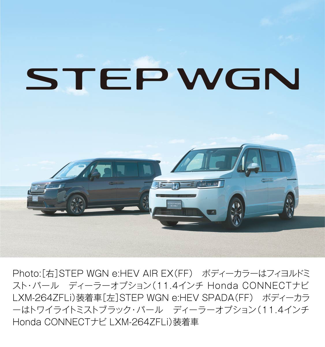 STEPWGN