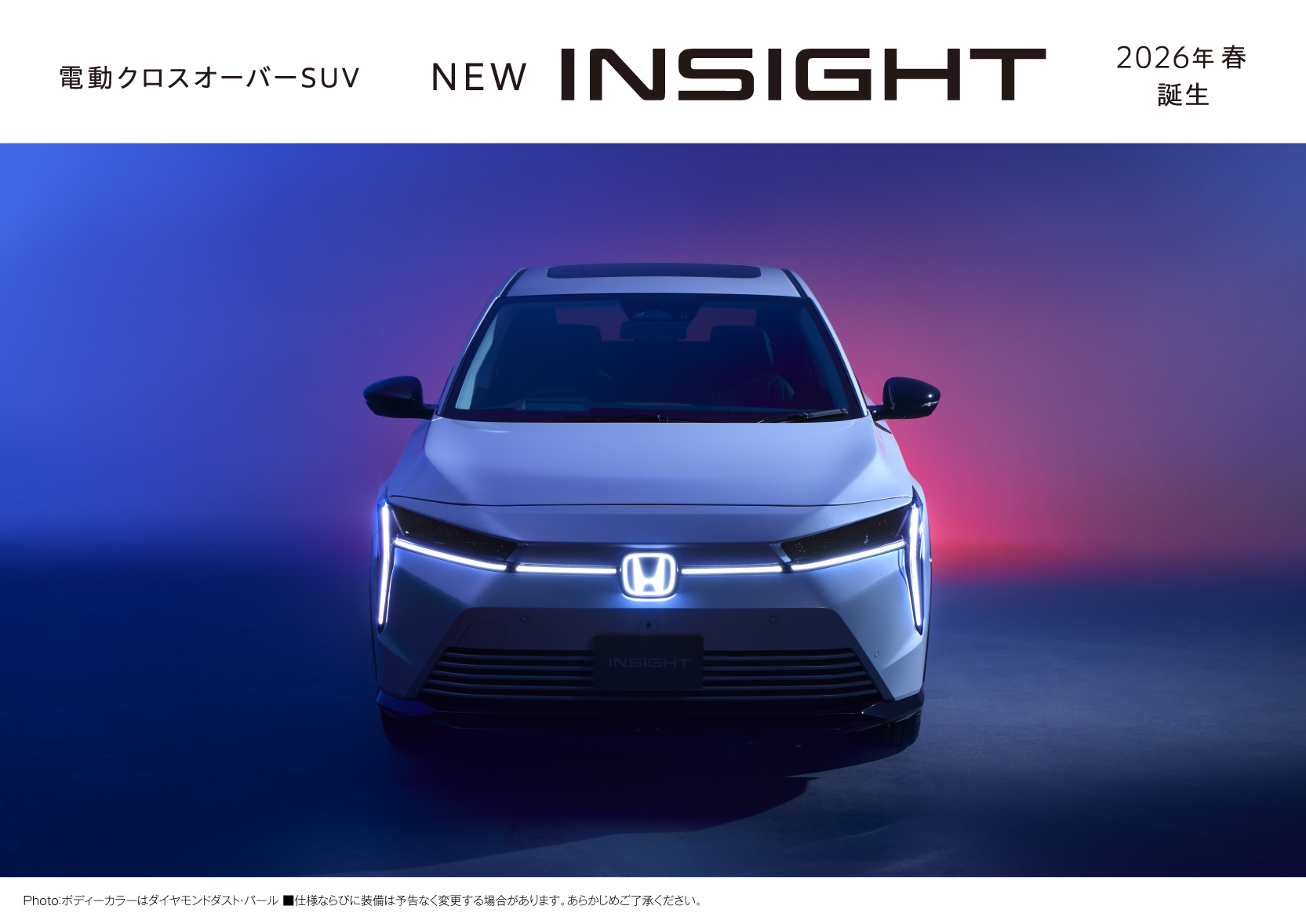 insightビジュアル