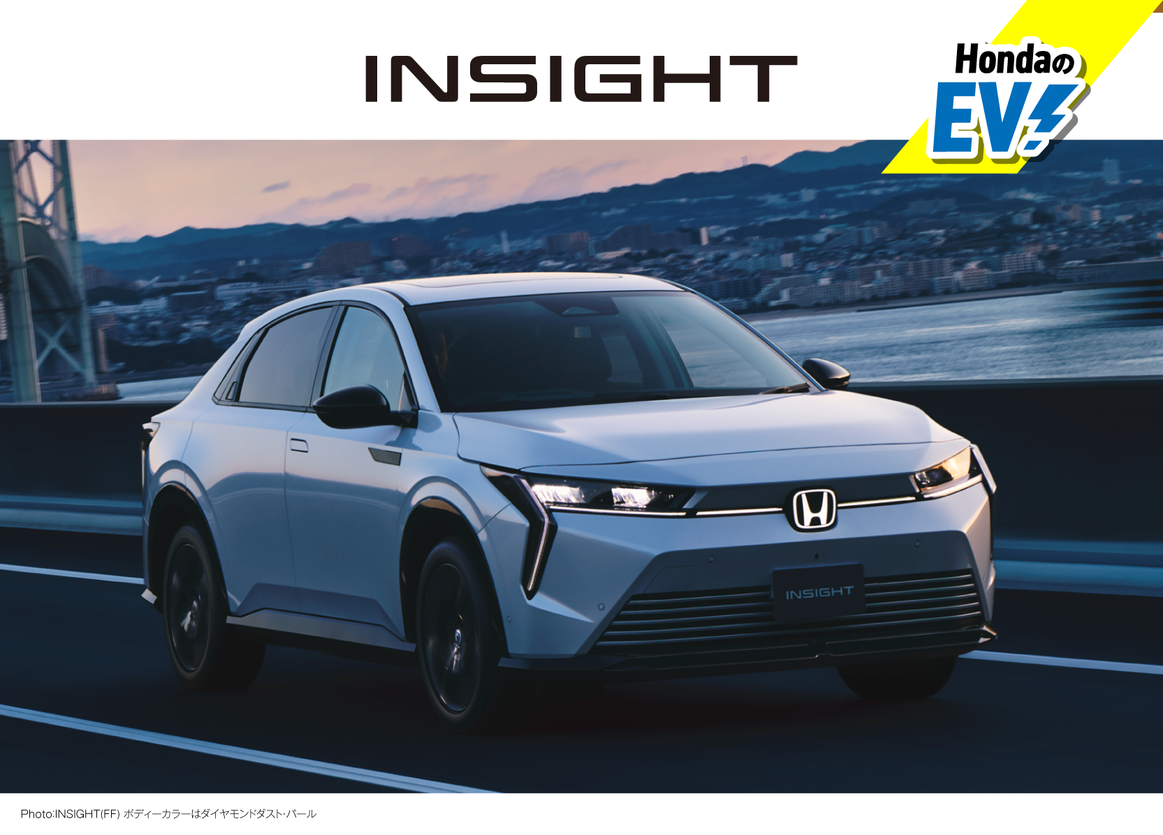 INSIGHT ビジュアル