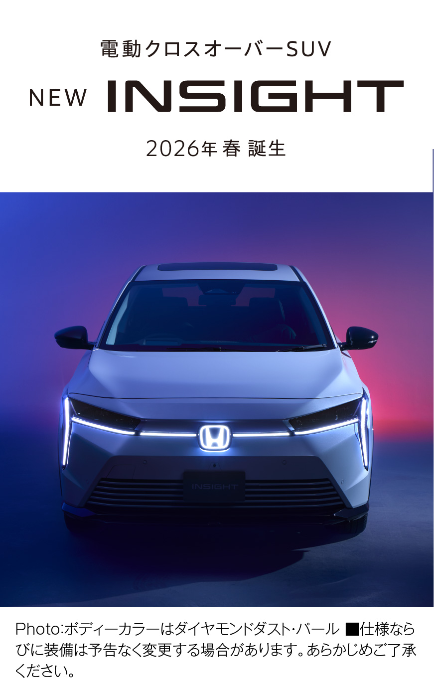 insightビジュアル