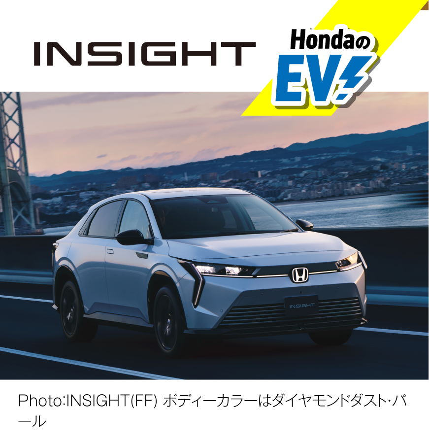 INSIGHT ビジュアル