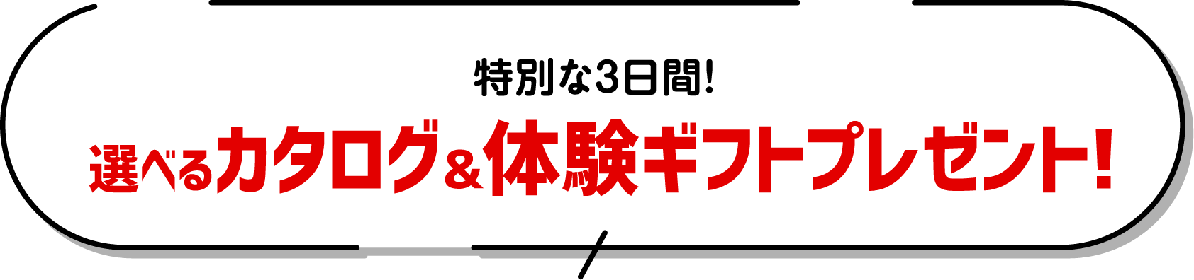 特別な3日間！選べるカタログ&体験ギフトプレゼント