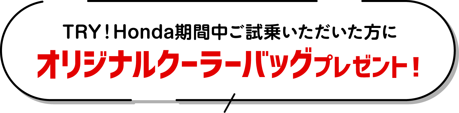 TRY!Honda期間中にご試乗いただいた方にオリジナルクーラーバッグプレゼント