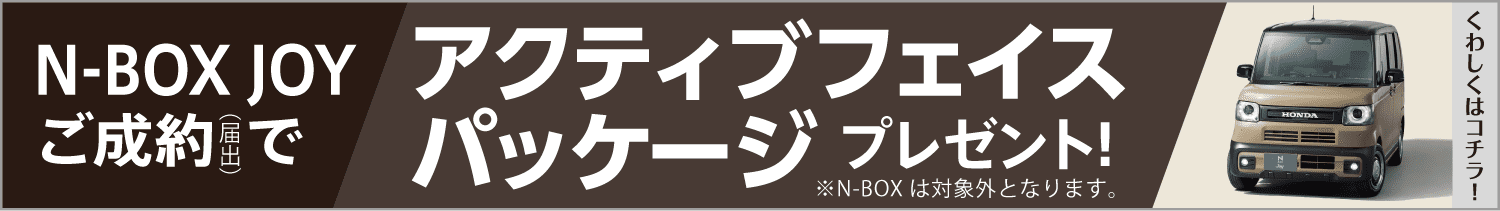 アクティブフェイスパッケージ