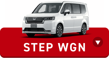 STEP WGN
