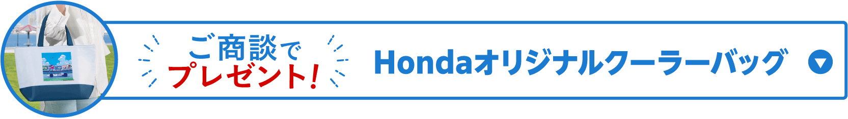 ������Ńv���[���g