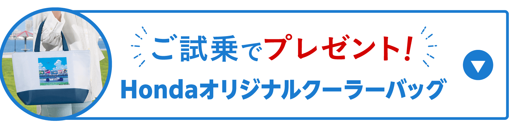 ������Ńv���[���g