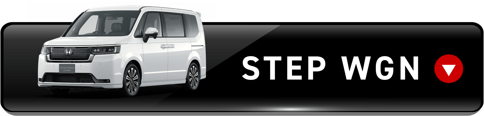 STEP WGN
