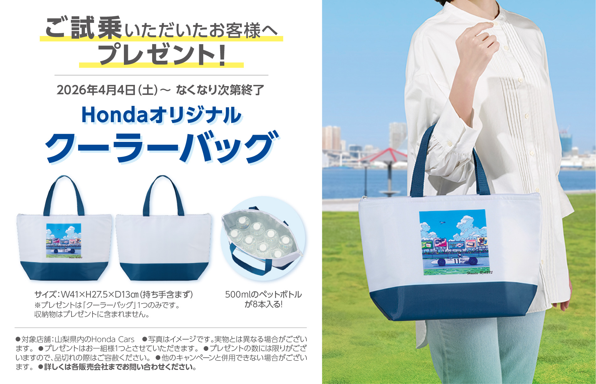 ������ŃN�[���[�o�b�O�v���[���g