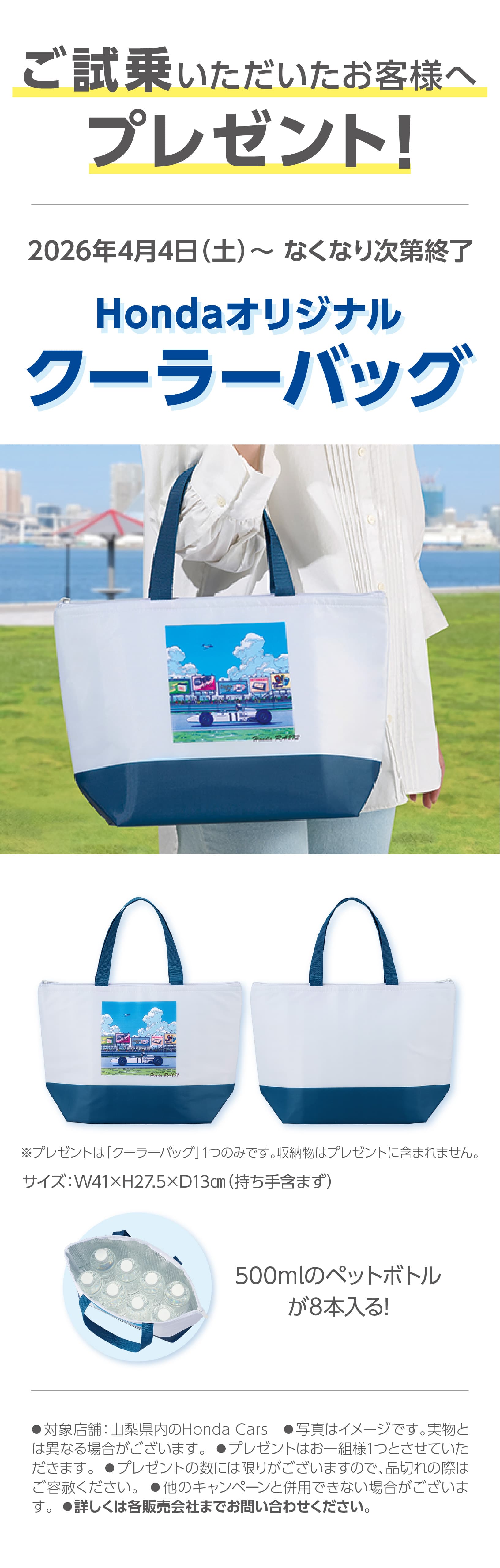 ������ŃN�[���[�o�b�O�v���[���g