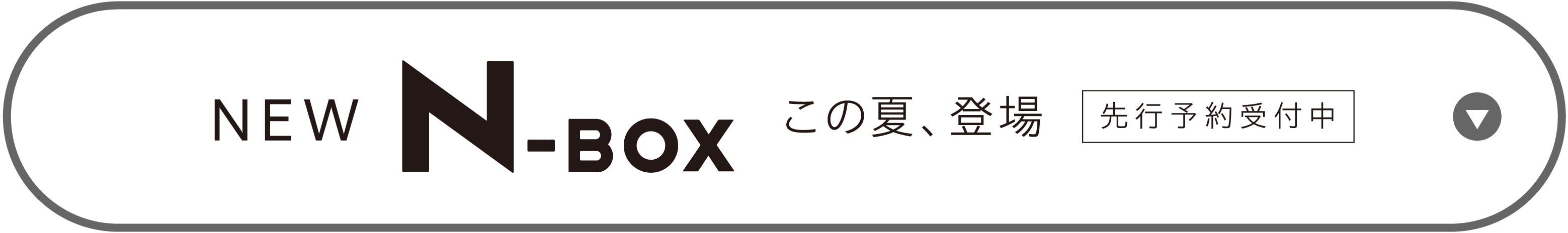N-BOX JOY