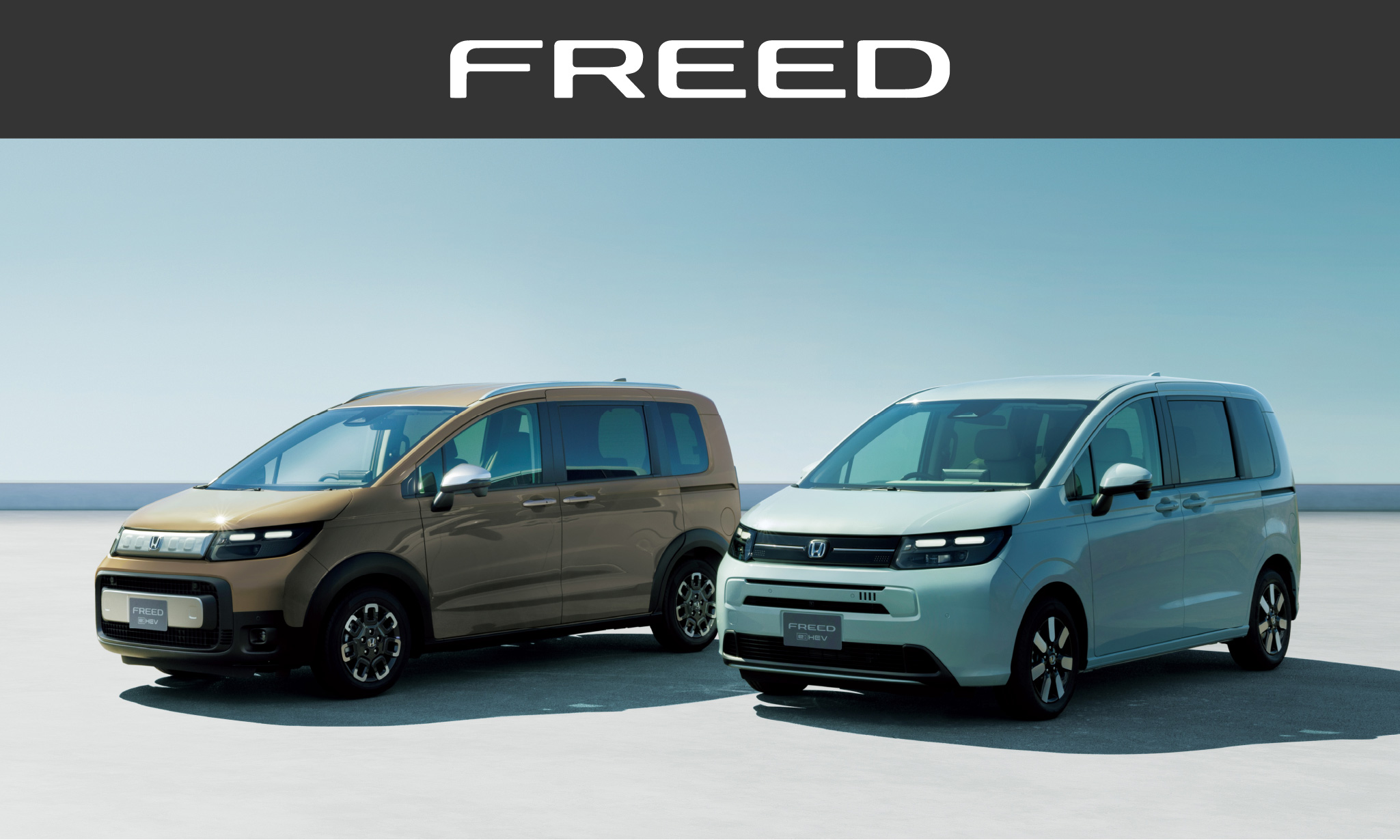 FREED