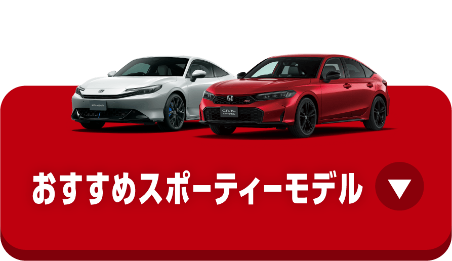 �������߂̃X�|�[�e�B���f��