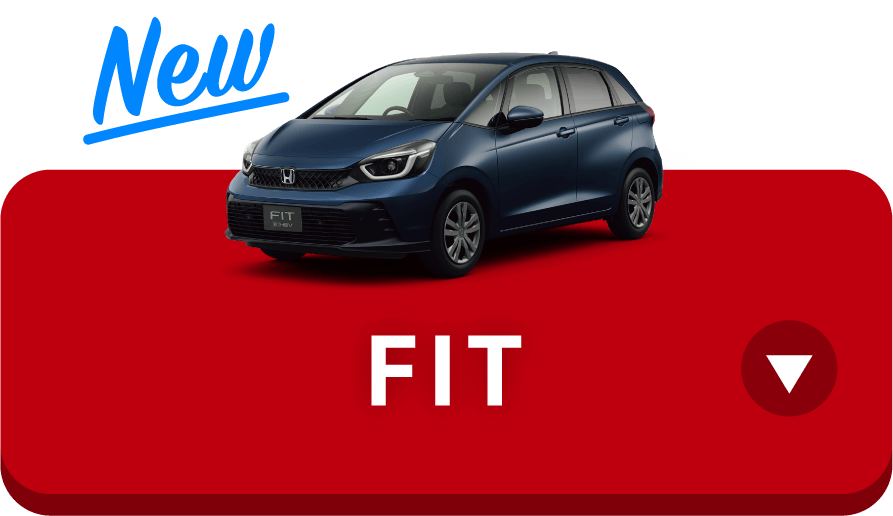 FIT