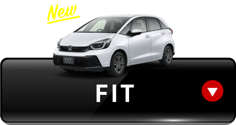 FIT