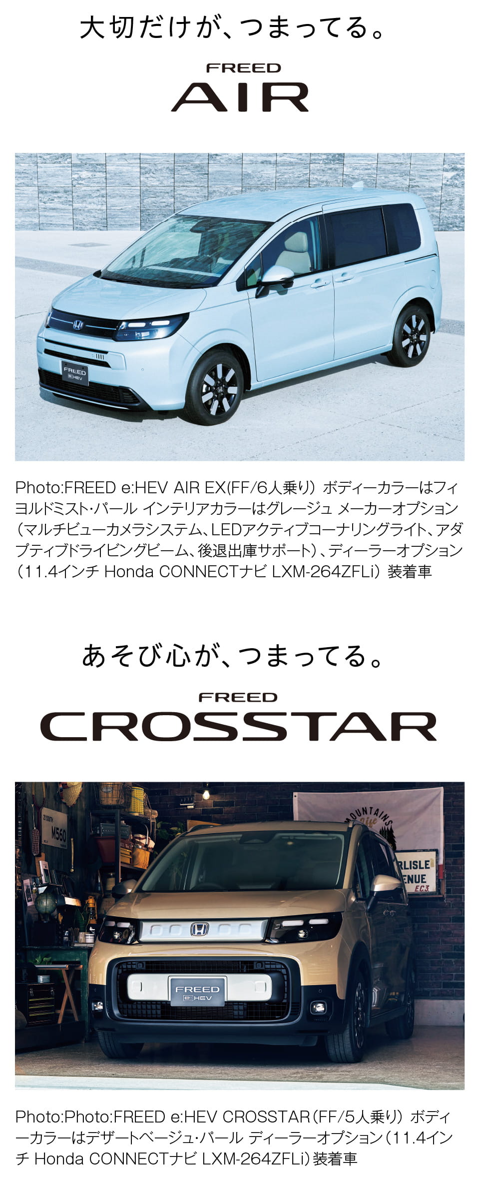 FREED AIR