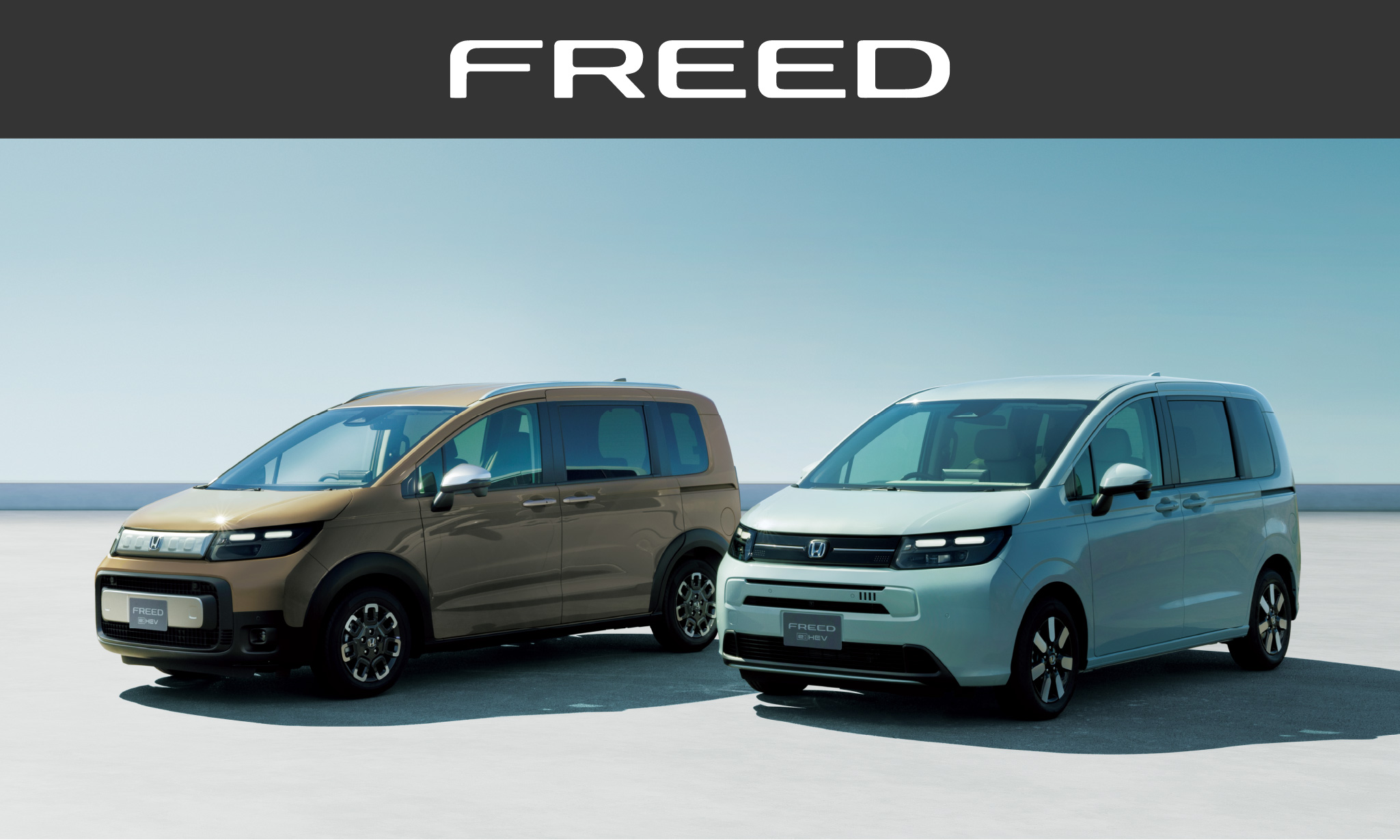 FREED