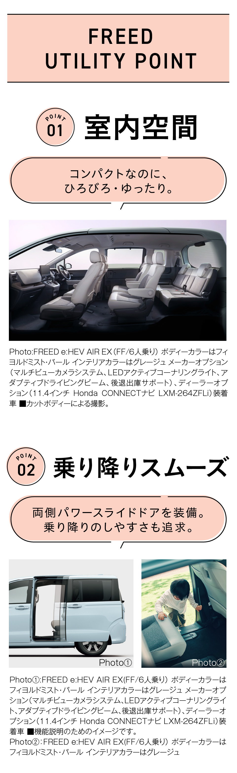 FREED POINT