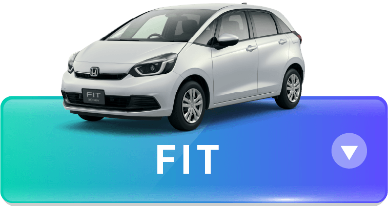 FIT